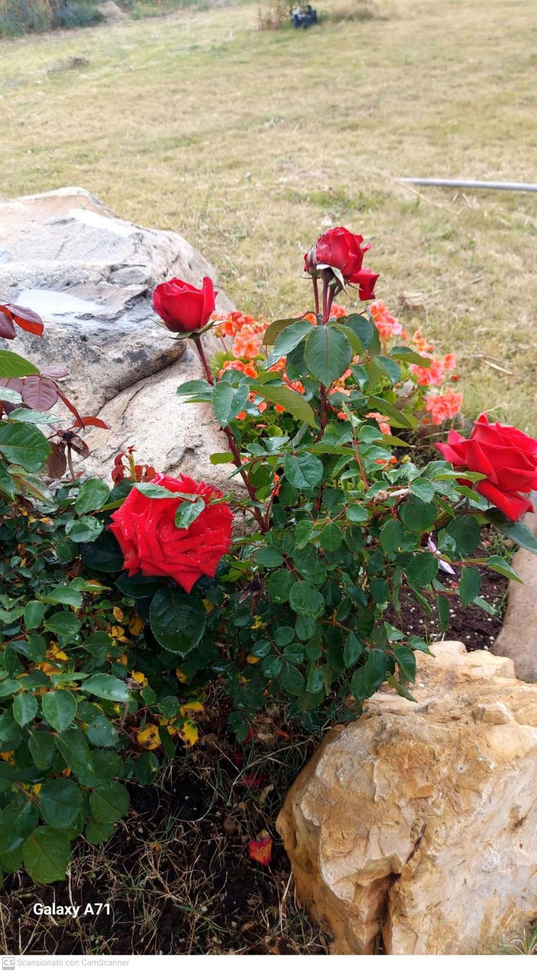 B&B Sensorial Experience Villamassargia Екстериор снимка