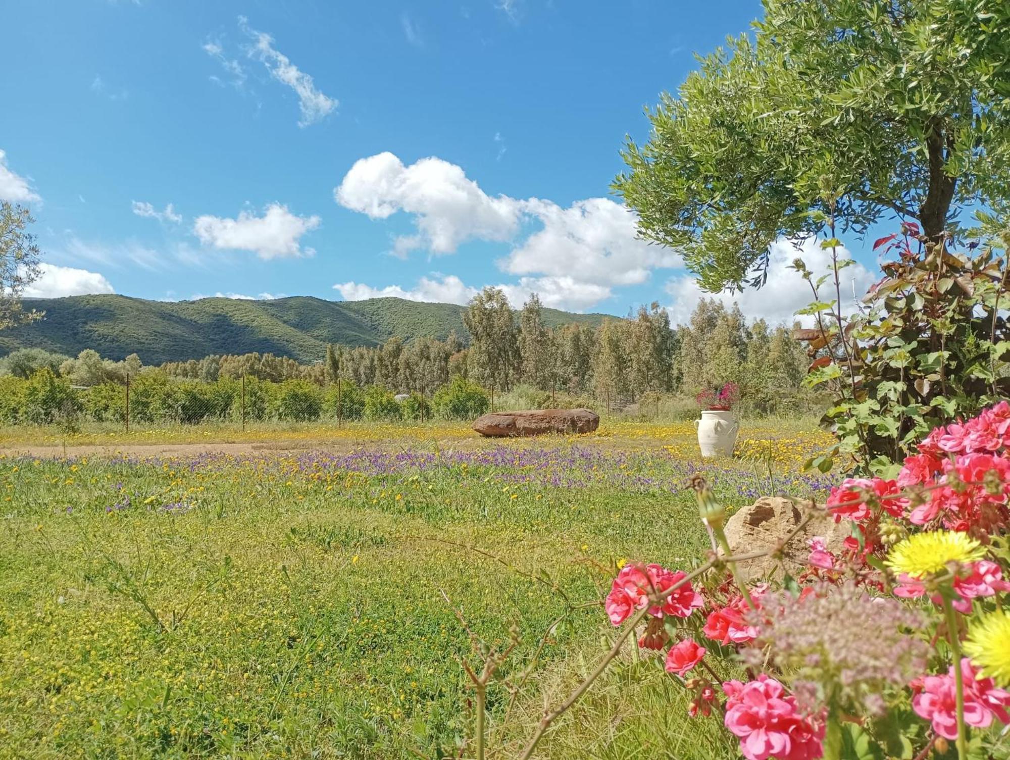 B&B Sensorial Experience Villamassargia Екстериор снимка
